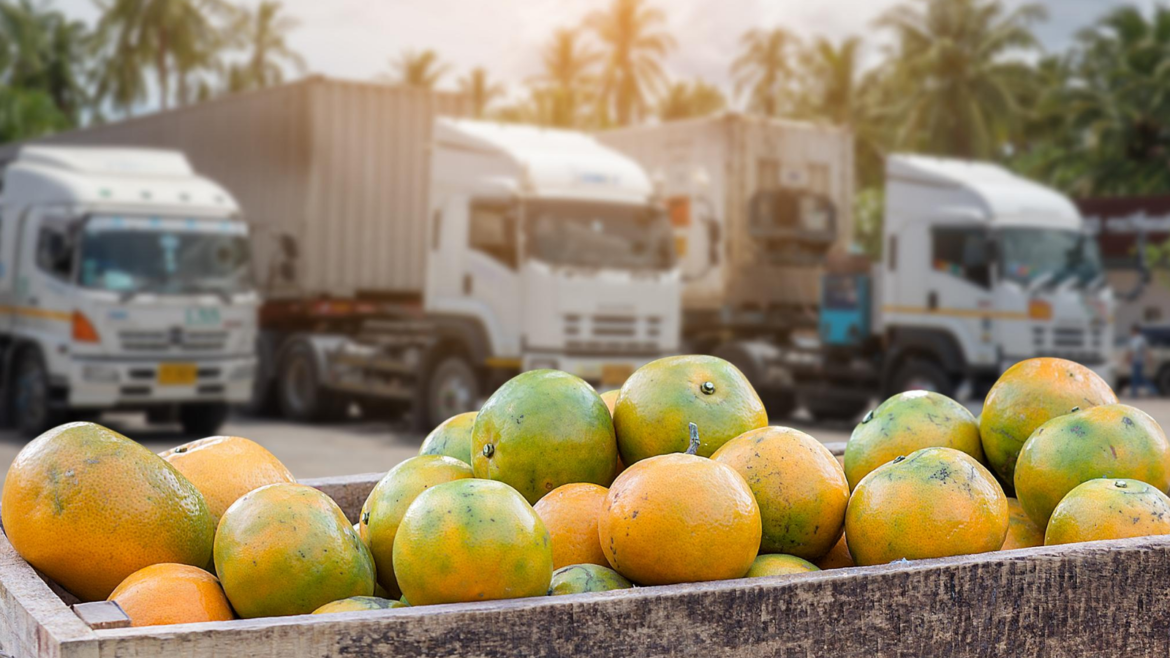 AGRICULTURAL LOGISTICS