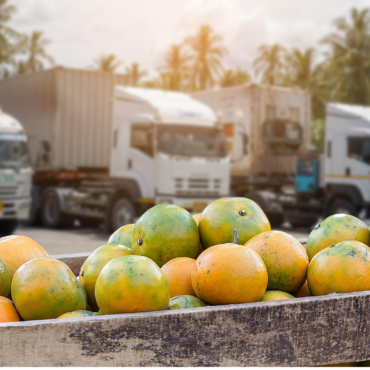 AGRICULTURAL LOGISTICS
